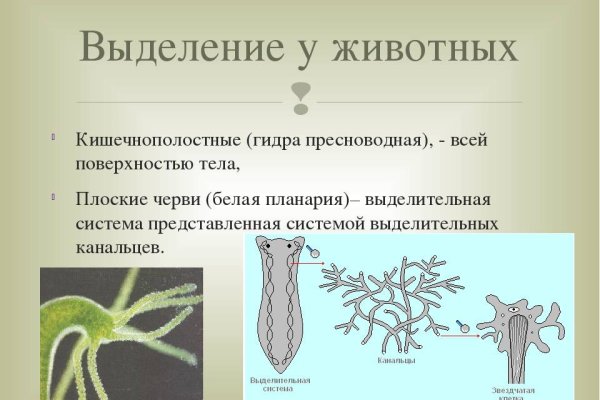 Кракен это современный даркнет маркет