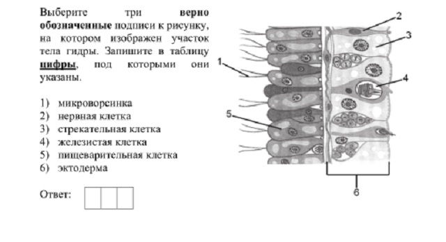 Кракен даркнет как зайти