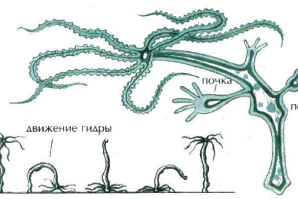 Кракен ворует аккаунты