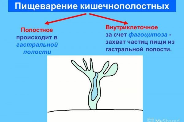 Кракен даркнет зеркало пв