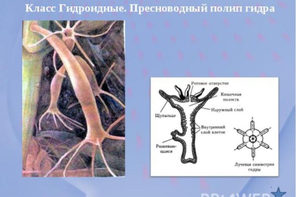 Ссылки на кракен com