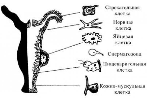 Кракен мефедрон